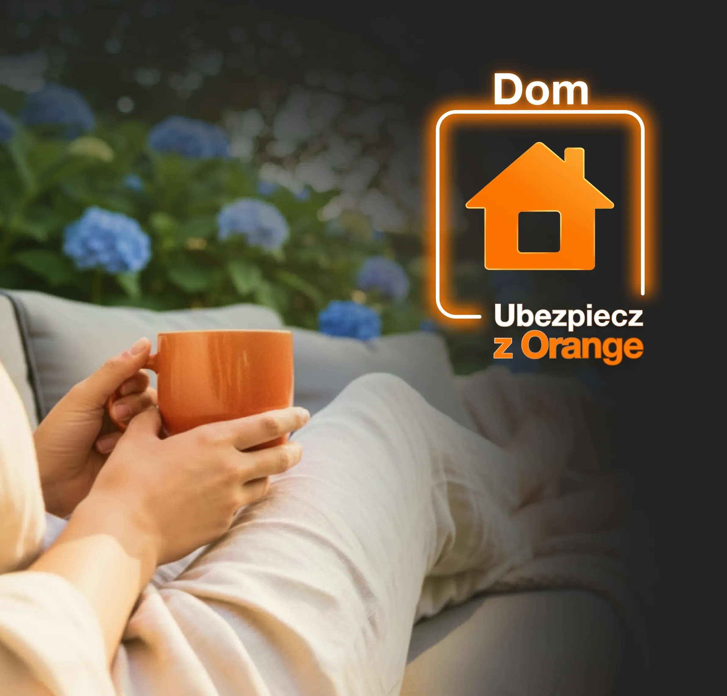 KARUZELA_home_desktop.webp